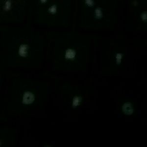 Meet your Posher, Tracy